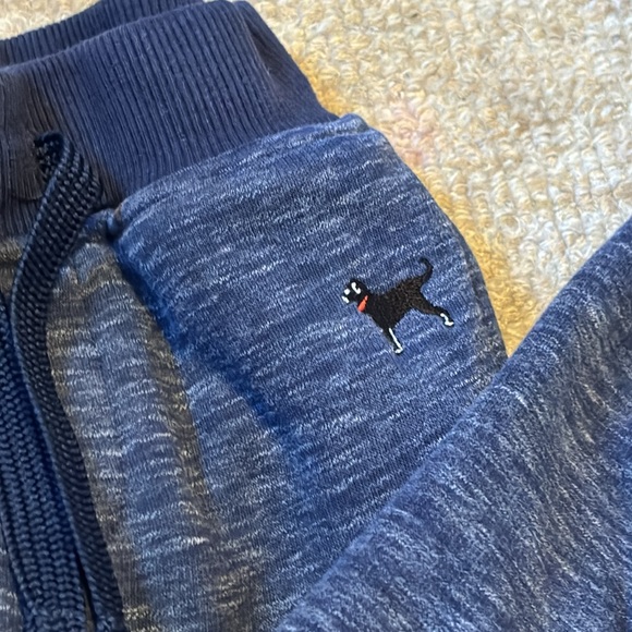 BLACK DOG 2T SET - Picture 4 of 4